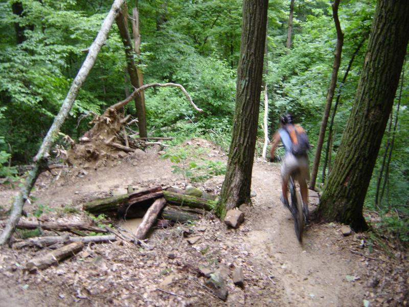 A mountain biker navigating a winding trail through a lush, green forest. The path is surrounded by tall trees and natural debris, with sunlight filtering through the foliage. Brown County Park mountain bike trail.