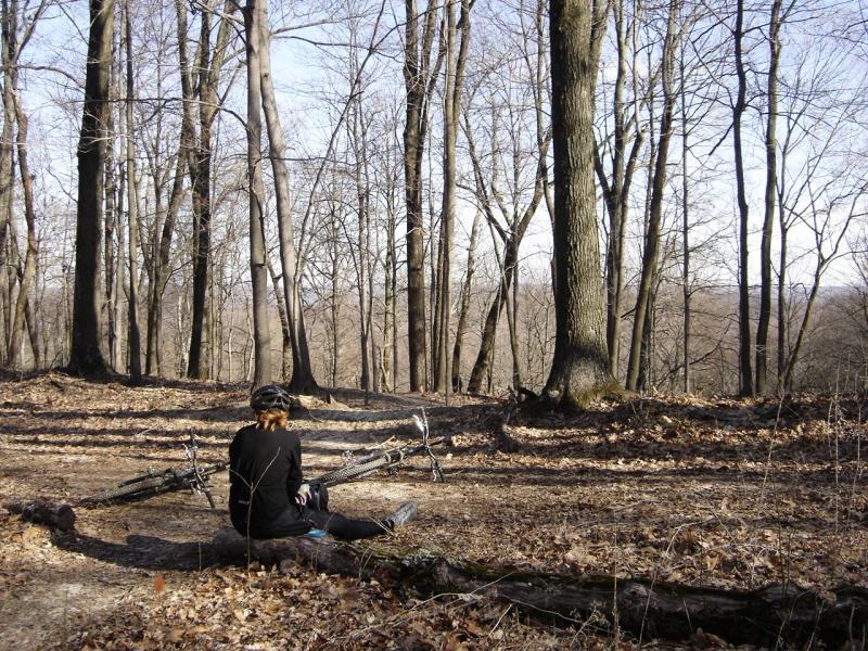A person sitting on the forest floor amidst bare trees, wearing a helmet and dark clothing, with a bicycle lying nearby. The scene captures a quiet moment in nature, with fallen leaves scattered around and a clear sky in the background. Brown County Park mountain bike trail.