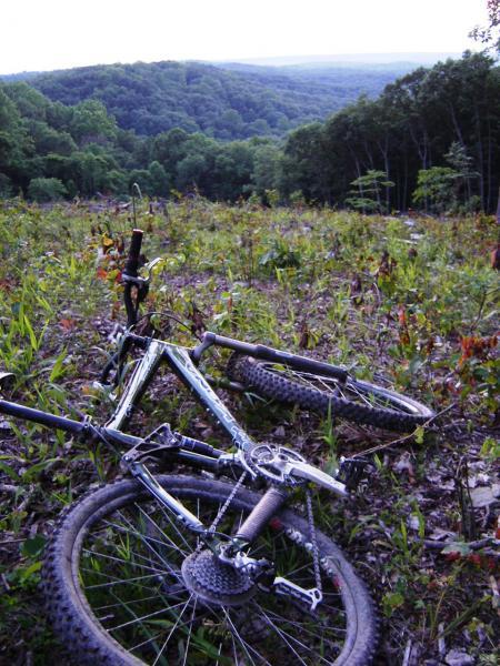 A mountain bike lying on its side in an open field, surrounded by wildflowers and tall grass, with a backdrop of rolling hills and dense trees under a cloudy sky. Brown County Park mountain bike trail.