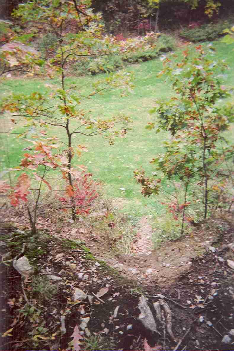 A view of a natural landscape featuring a patch of grass bordered by young trees with autumn foliage. The scene includes a small dirt path leading down from a higher area, surrounded by rocks and fallen leaves. Needham Town Forest mountain bike trail.