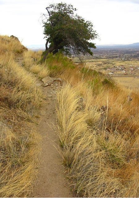 A narrow dirt path winds through tall, golden grasses on a hillside, leading up to a solitary tree. In the background, a valley stretches out, dotted with small houses and framed by distant mountains under a cloudy sky. Perimeter Trail mountain bike trail.