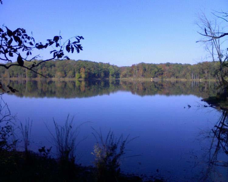 Serene view of a calm lake surrounded by trees, reflecting the blue sky above and autumn foliage in the distance. Grapevine Lake  A&amp;b mountain bike trail.