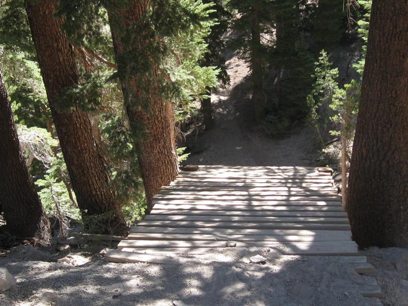 A wooden walkway leading downhill, surrounded by tall trees and dappled sunlight. The path is lined with gravel and visible shadows of the trees above. Mammoth Mountain Resort mountain bike trail.