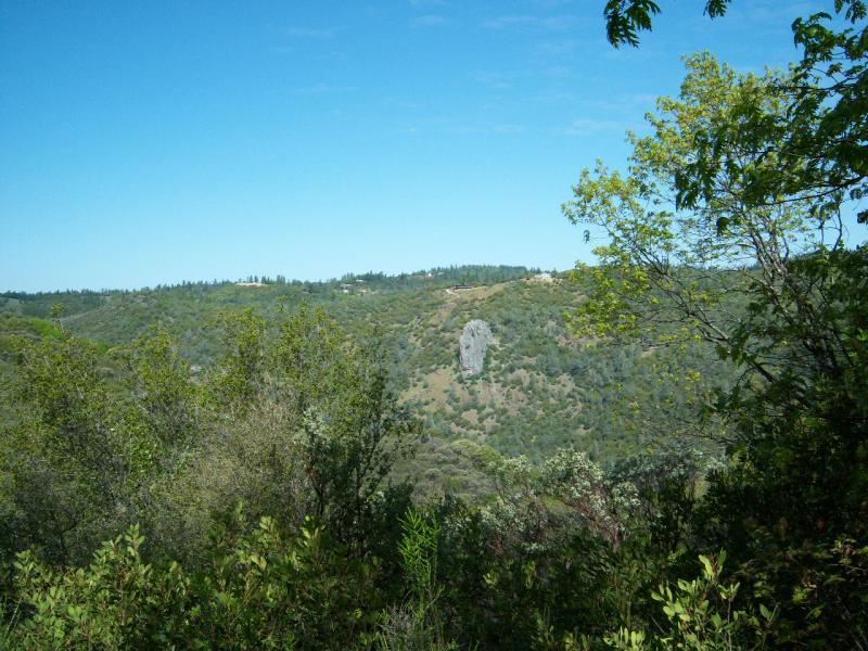 A panoramic view of a lush green hillside dotted with trees under a clear blue sky. In the distance, a prominent rock formation is visible, surrounded by rolling terrain and vegetation. Clementine / Forresthill Connector Trail mountain bike trail.