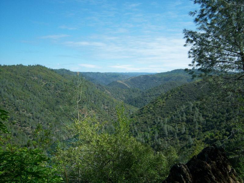 A panoramic view of rolling green hills under a blue sky, with scattered clouds. The landscape is covered in lush vegetation, including trees and shrubs, showcasing the natural beauty of the mountainous terrain. Clementine / Forresthill Connector Trail mountain bike trail.