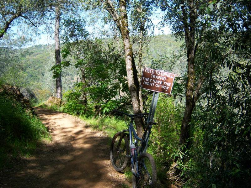 A mountain bike leaning against a post in a wooded area, with a sign that reads "YIELD TO UPHILL TRAFFIC THEY HAVE THE RIGHT OF WAY." The path is dirt, surrounded by trees and greenery, leading into the hills in the background. Clementine / Forresthill Connector Trail mountain bike trail.