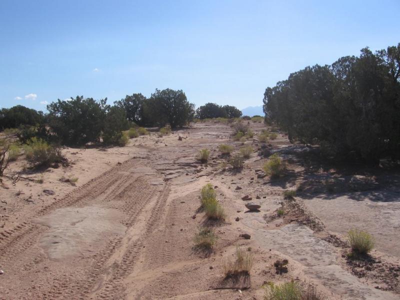 A dry, sandy landscape featuring a wide, open trail marked by tire tracks, flanked by patches of green shrubs and scattered small rocks. The scene is under a clear blue sky with a few clouds, suggesting a sunny day in a desert or arid environment. In the background, low hills or distant mountains are faintly visible. Sovereign Single Track mountain bike trail.