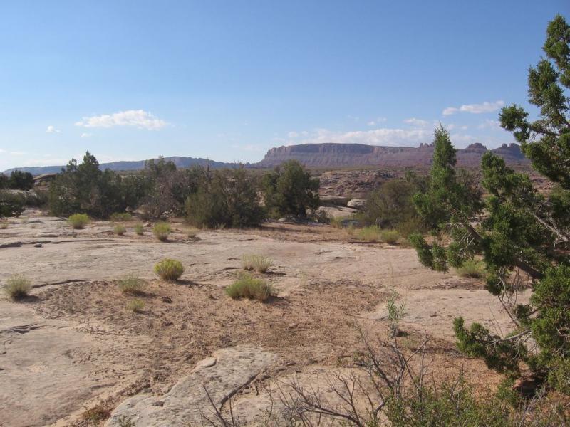 A wide landscape view featuring rocky terrain with sparse vegetation, including low shrubs and grasses. In the background, distant rocky cliffs can be seen under a clear blue sky with a few clouds. The scene captures the natural beauty of a desert or semi-arid environment. Sovereign Single Track mountain bike trail.