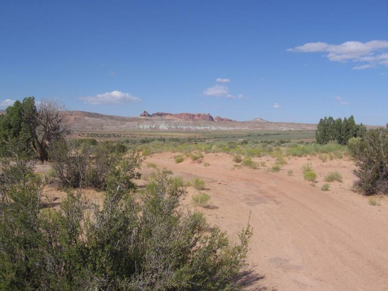 A desert landscape featuring sandy terrain, sparse vegetation, and low shrubs, with colorful rock formations in the distance under a clear blue sky with a few clouds. Sovereign Single Track mountain bike trail.