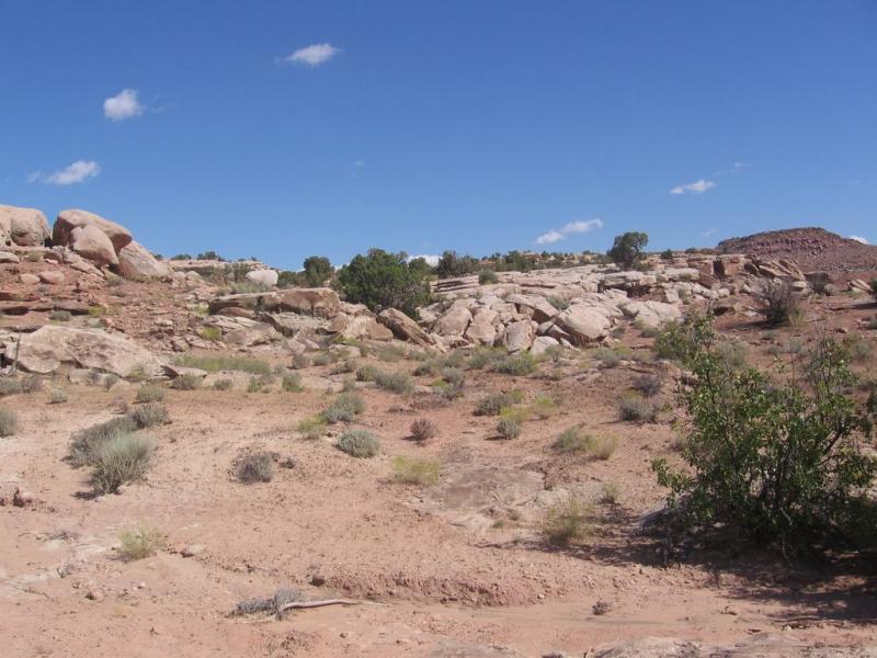 A rocky landscape with scattered boulders and patches of grass, under a clear blue sky. Sparse vegetation and small bushes dot the arid terrain, showcasing the natural beauty of a desert environment. Sovereign Single Track mountain bike trail.
