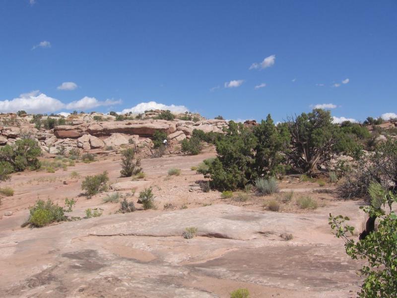 A rocky landscape under a clear blue sky, featuring sparse vegetation such as shrubs and small trees, with distant sandstone cliffs and small clouds in the background. Sovereign Single Track mountain bike trail.