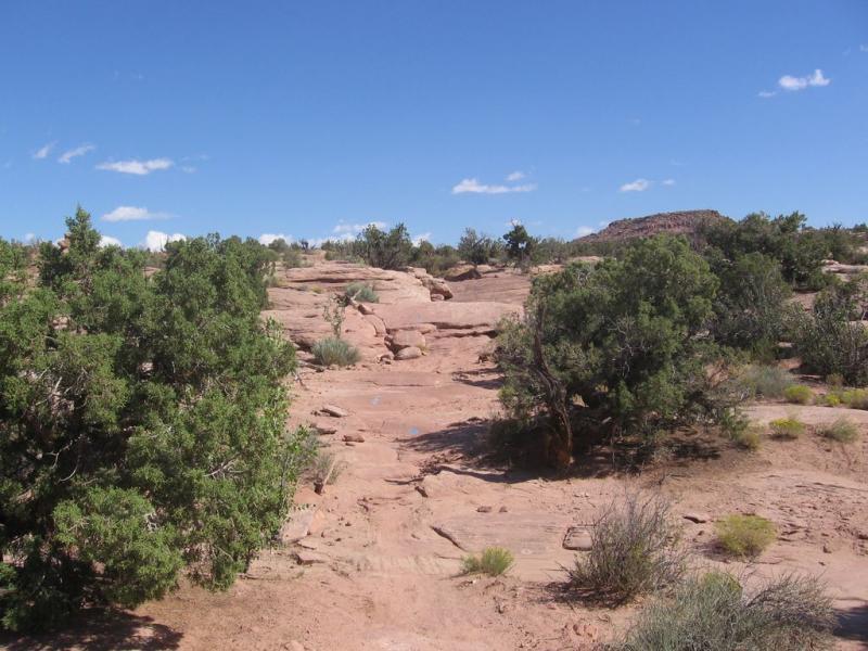 A rocky desert landscape featuring a winding dirt path surrounded by greenery, with scattered shrubs and small trees. The sky is clear blue with a few fluffy white clouds. Sovereign Single Track mountain bike trail.