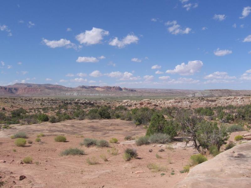 A wide view of a southwestern desert landscape featuring rugged rock formations, sparse vegetation, and a clear blue sky with scattered white clouds. The terrain consists of reddish-brown soil and patches of green shrubbery, set against distant hills and plateaus. Sovereign Single Track mountain bike trail.
