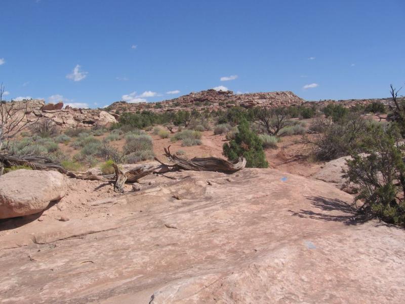 A dry desert landscape featuring rocky terrain, sparse vegetation, and scattered bushes under a bright blue sky with some clouds. The foreground includes rocky ground and fallen branches, while a distant rocky outcrop rises in the background. Sovereign Single Track mountain bike trail.