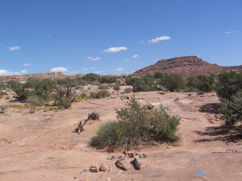 A rocky desert landscape featuring scattered vegetation, including shrubs and small trees, under a clear blue sky with a few clouds. In the background, a prominent rocky hill rises from the flat terrain, creating a rugged and natural setting. Sovereign Single Track mountain bike trail.