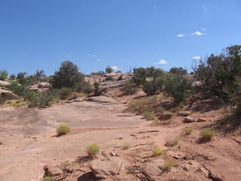 Alt text: A rocky desert landscape featuring a dry terrain with scattered shrubs and plants under a clear blue sky with a few clouds. Sovereign Single Track mountain bike trail.