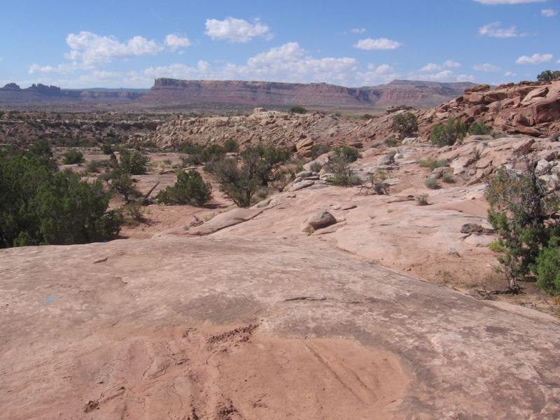 A wide landscape view of rocky terrain with distant cliffs and blue sky, scattered with clouds. The foreground features a flat, reddish rock surface interspersed with sparse vegetation and small shrubs. The background showcases a dramatic, layered rock formation under a bright, sunny sky. Sovereign Single Track mountain bike trail.