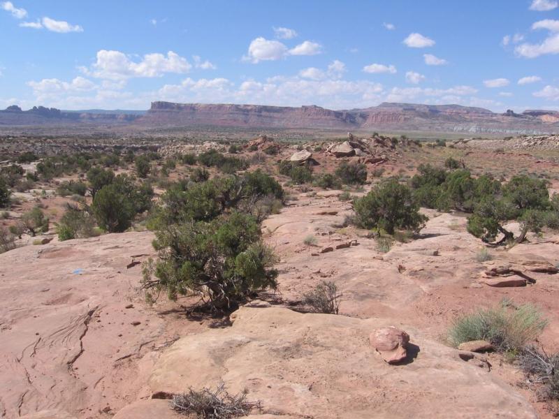 A panoramic view of a desert landscape featuring rocky terrain, scattered shrubs, and distant mesas under a partly cloudy sky. The foreground shows a variety of low shrubbery against a backdrop of layered rock formations and vast open space. Sovereign Single Track mountain bike trail.