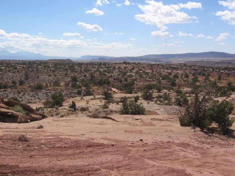 A wide view of a desert landscape featuring rocky terrain, scattered shrubs, and small trees under a partly cloudy sky. Mountains are visible in the distance, and the scene conveys a sense of openness and natural beauty. Sovereign Single Track mountain bike trail.