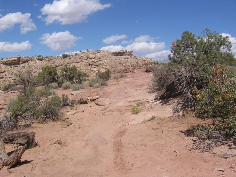 A rocky path leading through a desert landscape, surrounded by shrubs and small bushes, under a blue sky dotted with fluffy white clouds. The terrain is mostly dry and sandy, with visible rock formations in the background. Sovereign Single Track mountain bike trail.