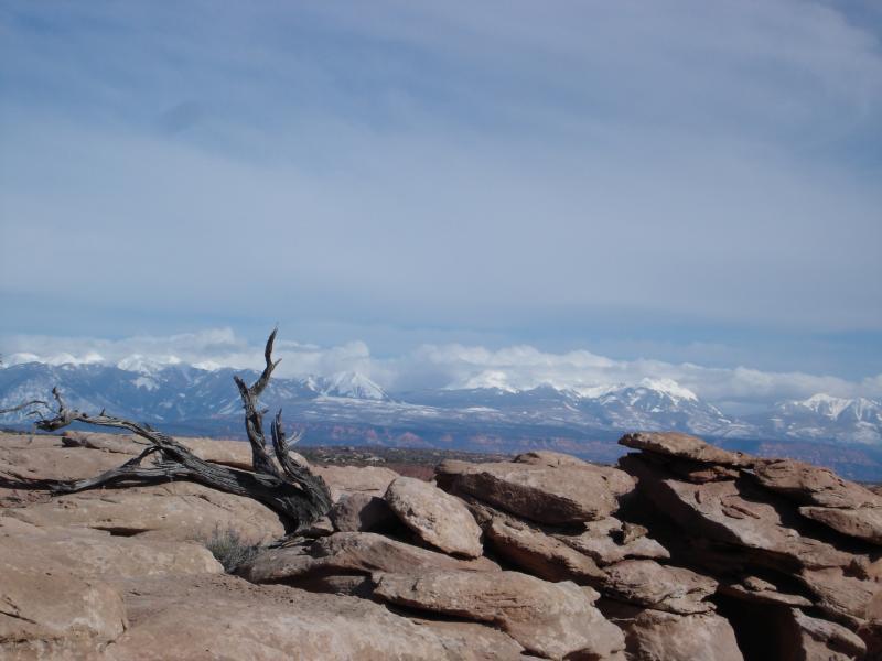 A panoramic view of rugged, rocky terrain in the foreground, featuring a weathered tree branch, with majestic snow-capped mountains in the background under a partly cloudy sky. Sovereign Single Track mountain bike trail.