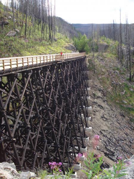A tall wooden trestle bridge spans a ravine, with a person walking along the pathway. The surrounding landscape shows signs of recent forest fire damage, characterized by scorched trees and areas of regrowth. Lush greenery and wildflowers add color to the scene, contrasting with the blackened vegetation. The sky is partly cloudy, suggesting a calm day. Kettle Valley Railway Trail (KVR) Myra Canyon to Penticton return mountain bike trail.