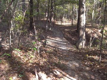 A winding dirt path through a wooded area, surrounded by trees and fallen leaves, with dappled sunlight filtering through the foliage. The Monkey Trail mountain bike trail.