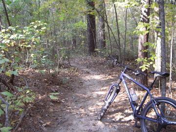 A mountain bike parked on the side of a dirt trail surrounded by trees and foliage in a wooded area. The Monkey Trail mountain bike trail.