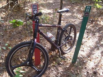 A mountain bike leaning against a trail marker in a forested area, with a sign indicating bike access and another for pedestrians. The ground is covered with pine needles and scattered foliage. The Monkey Trail mountain bike trail.
