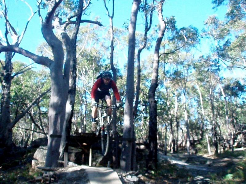 A mountain biker in a red and black outfit jumps off a ramp in a wooded area, surrounded by trees and blue sky. Ansto mountain bike trail.