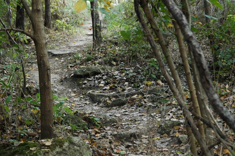 A narrow, winding dirt path through a wooded area, surrounded by trees and shrubs. The ground is covered with fallen leaves and rocky terrain, suggesting a natural, rustic setting. The scene evokes a sense of tranquility and exploration in a forested environment. Rangeline Nature Preserve mountain bike trail.
