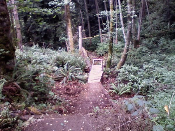 A narrow wooden bridge spans a small gap in a lush, green forest. Surrounding the bridge are dense ferns and tall trees, creating a tranquil, natural setting. The ground leading up to the bridge is slightly uneven and covered with earthy tones. Japanese Gulch mountain bike trail.