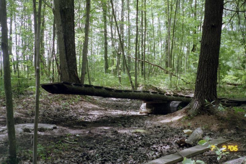 A log bridge spanning a small, muddy area in a forest, surrounded by tall trees and lush greenery. The scene captures a peaceful, natural setting, with dappled light filtering through the leaves. Midland City Forest mountain bike trail.