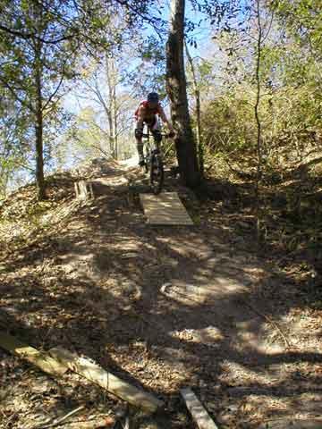A mountain biker navigating a wooded trail, descending a slope with wooden ramps and surrounded by trees and autumn foliage. North Port Mountain Bike Trails mountain bike trail.