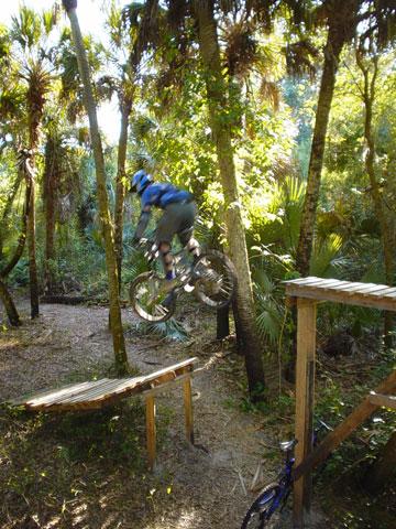 A mountain biker wearing a blue helmet and a blue shirt jumps off a wooden ramp in a lush, green forest. Sunlight filters through the trees, highlighting the natural surroundings and the biker's airborne position. North Port Mountain Bike Trails mountain bike trail.