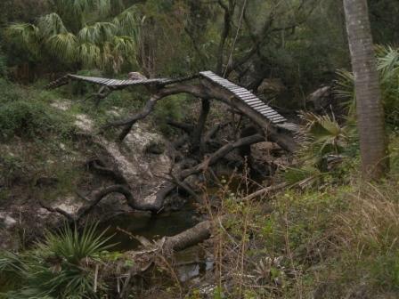 A rustic wooden bridge made from planks stretches across a small, wooded ravine. Surrounding the bridge are lush green plants and trees, with exposed roots and rocks visible in the area. The scene has a natural, untouched feel, typical of a forested landscape. North Port Mountain Bike Trails mountain bike trail.