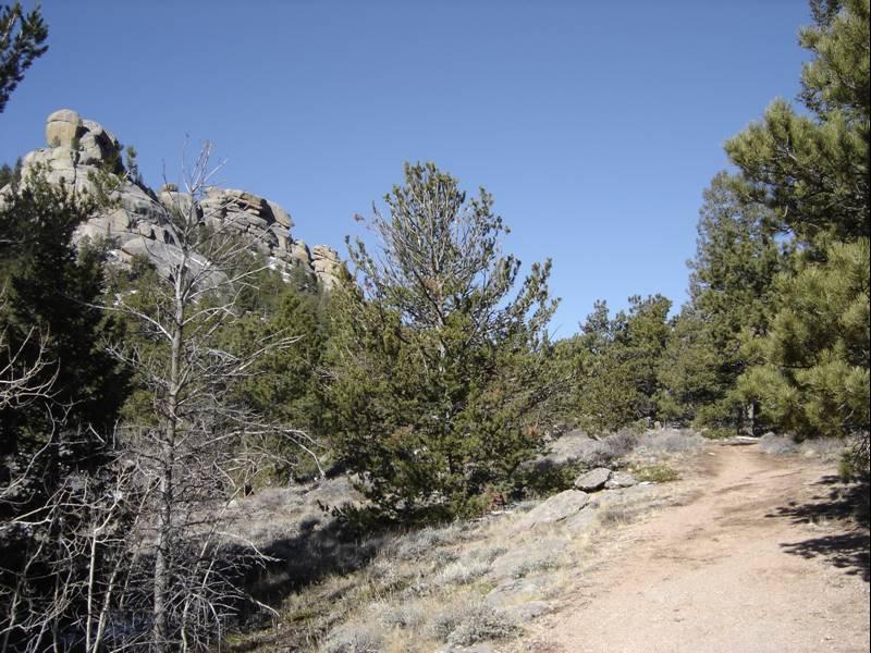 A dirt path winding through a forested area with pine trees, rocky formations, and a clear blue sky in the background. Vedauwoo mountain bike trail.