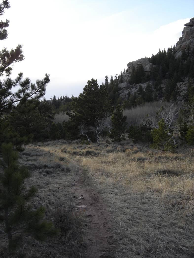 A winding dirt path through a grassy meadow surrounded by pine trees and rocky hills under an overcast sky. Vedauwoo mountain bike trail.
