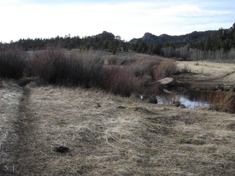 A peaceful natural landscape featuring a grassy path leading to a small stream surrounded by shrubs and rocky terrain, with rolling hills and evergreen trees in the background under a cloudy sky. Vedauwoo mountain bike trail.