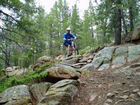 A mountain biker in a blue shirt and helmet navigates rocky terrain in a forested area, surrounded by tall pine trees. Happy Jack Recreation Area mountain bike trail.
