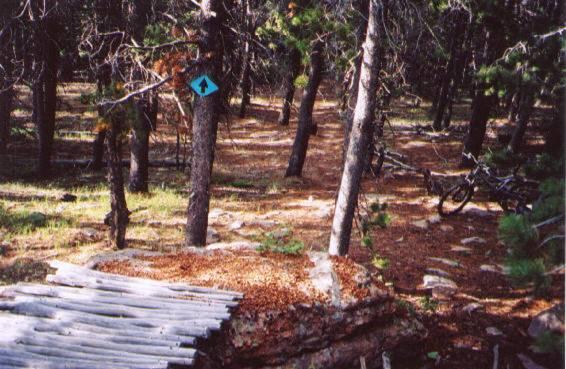 A forested trail with a blue directional arrow sign pointing upwards, surrounded by trees and scattered fallen leaves. A wooden structure is in the foreground, and two bicycles are positioned off the path in the background, suggesting a recreational area for mountain biking. Happy Jack Recreation Area mountain bike trail.