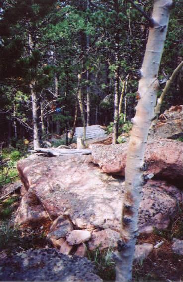 A rocky forest scene featuring tall trees with green foliage, large boulders covered with moss, and a glimpse of a fallen log in the background. The image captures the natural texture of the rocks and the serene atmosphere of a woodland environment. Happy Jack Recreation Area mountain bike trail.
