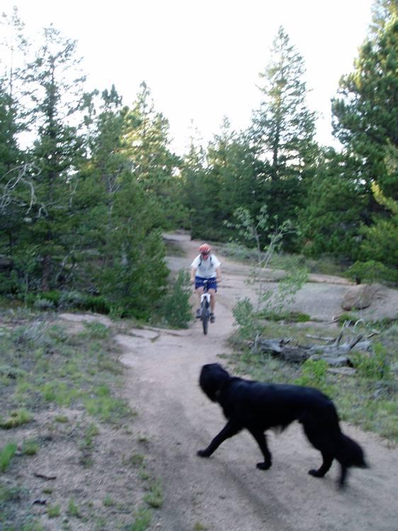  Vedauwoo mountain bike trail.