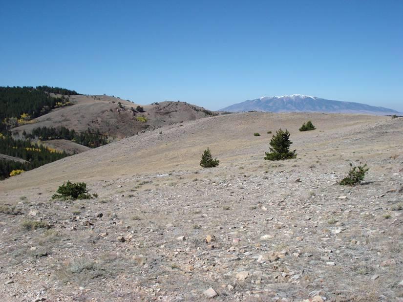A panoramic view of a mountainous landscape featuring rolling hills with sparse vegetation, scattered conifer trees, and a clear blue sky. In the background, a snow-capped mountain range is visible, contrasting with the dry terrain in the foreground. Rock Creek mountain bike trail.
