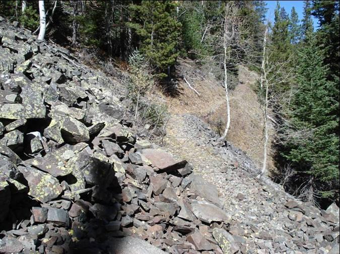 Rocky terrain covered in a variety of stones and boulders, surrounded by trees in a forest setting. A narrow trail is visible meandering through the landscape, and the scene is illuminated by natural sunlight. Rock Creek mountain bike trail.