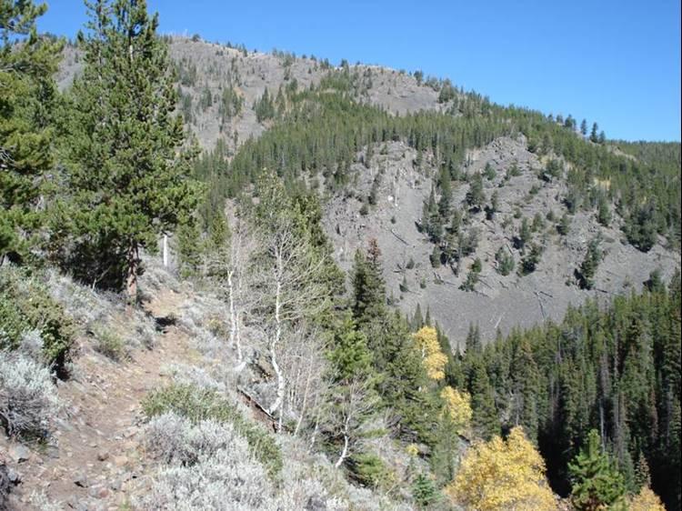 A scenic view of a mountainous landscape featuring a winding path surrounded by a variety of trees, including conifers and deciduous trees. The mountains are partially shaded, exhibiting rocky slopes and patches of greenery under a clear blue sky. Rock Creek mountain bike trail.