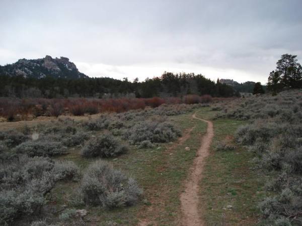 A winding dirt path leading through a grassy area with scattered sagebrush, surrounded by low hills and distant forested mountains under a cloudy sky. Vedauwoo mountain bike trail.