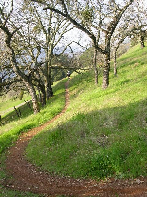 A winding dirt path surrounded by lush green grass and scattered trees, leading through a hilly landscape. A person is walking or biking along the trail in the distance. The scene is bright and natural, showcasing a peaceful outdoor environment. Pachecho Falls mountain bike trail.