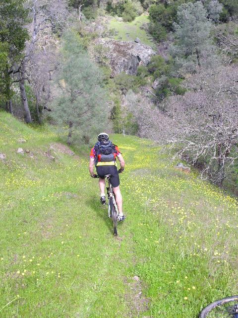 A person riding a mountain bike on a narrow, grassy trail surrounded by trees and wildflowers, with a hillside in the background. The cyclist is wearing a colorful jersey and a backpack, heading downhill through the natural landscape. Pachecho Falls mountain bike trail.
