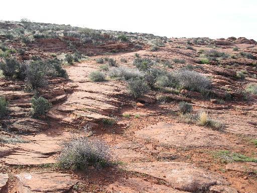 A rocky terrain featuring layered red sandstone hills, scattered with patches of green vegetation and shrubs under a clear sky. Pioneer Park mountain bike trail.